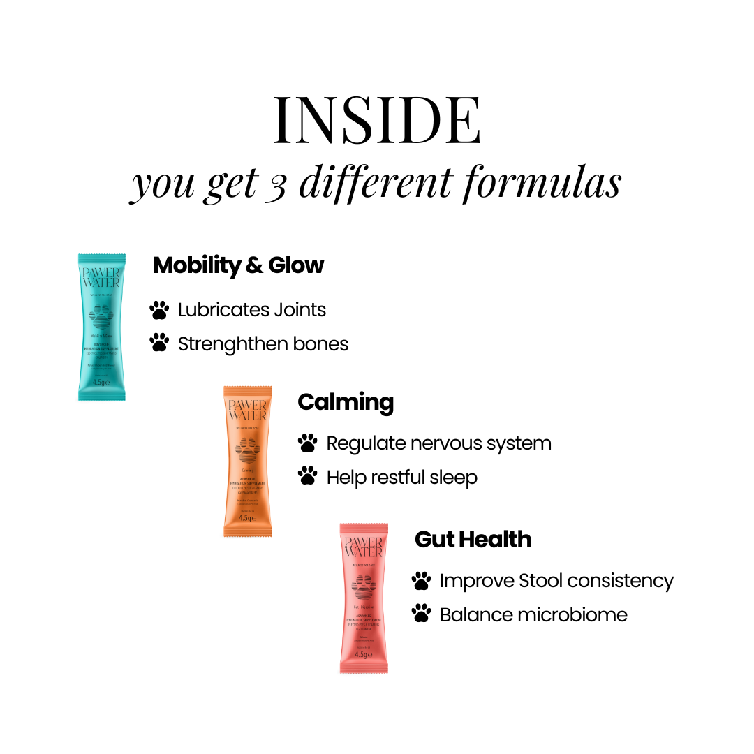 The Wellness Collection (7 Sticks Pouch)