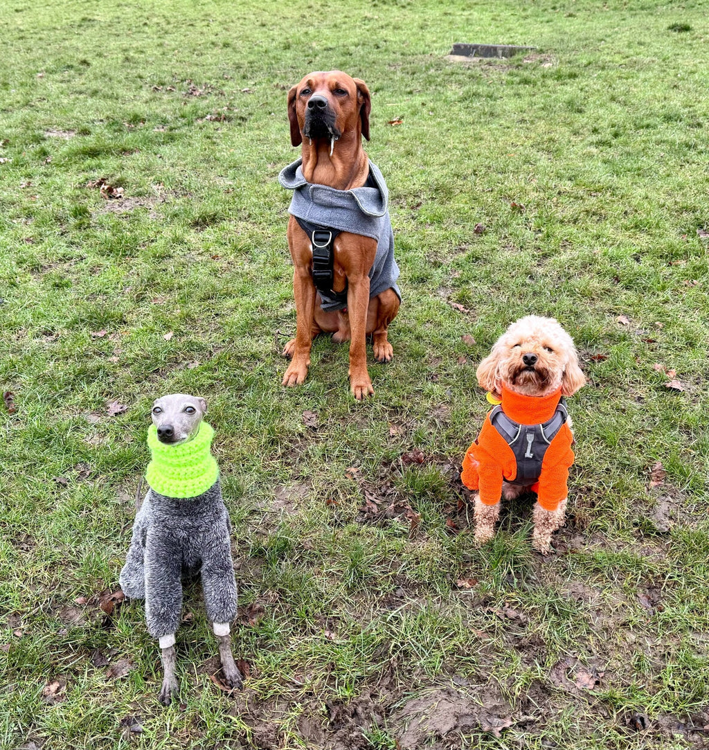 Chunky Knitted Snood - Hi-Vis Yellow