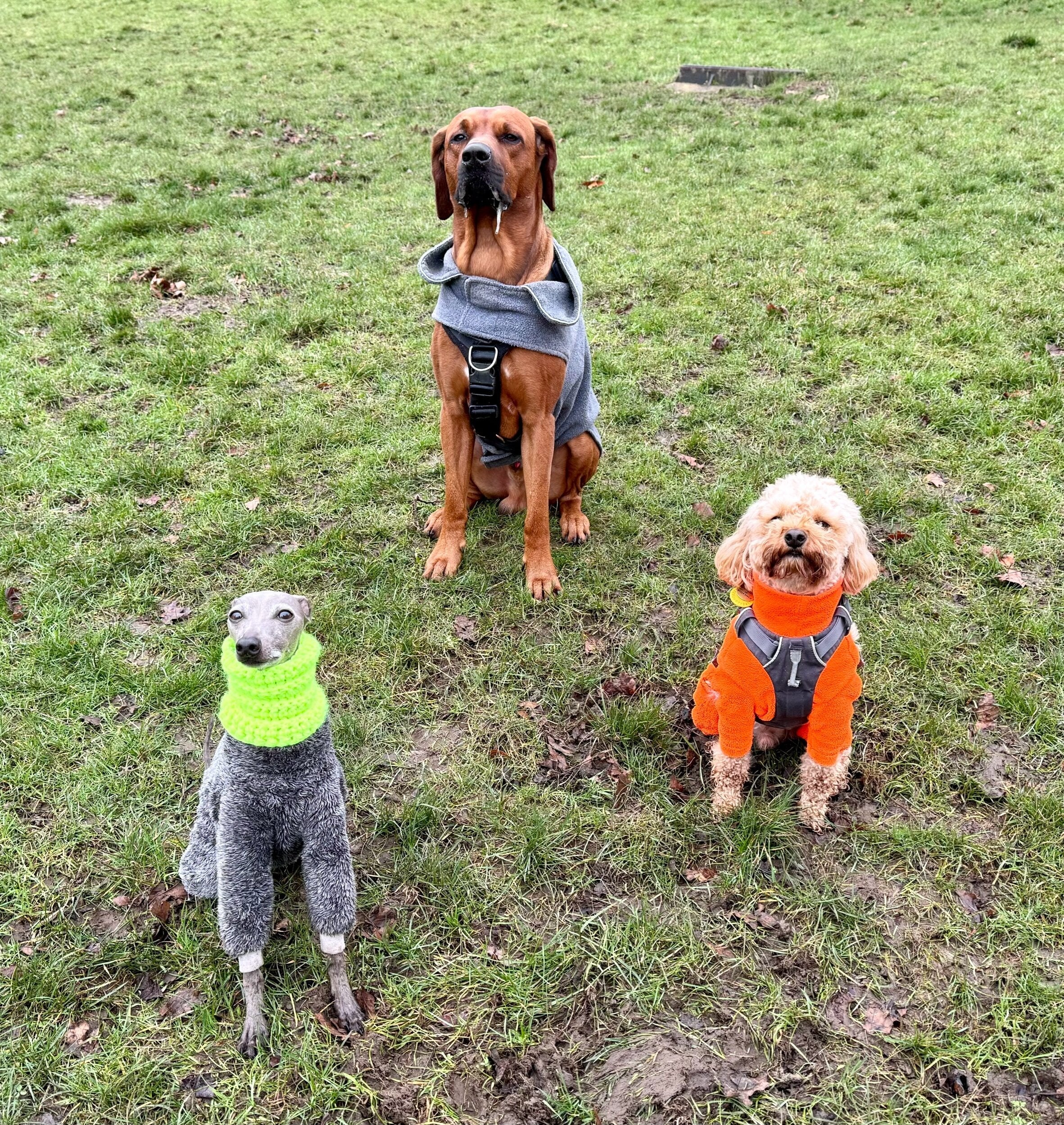 Chunky Knitted Snood - Hi-Vis Yellow