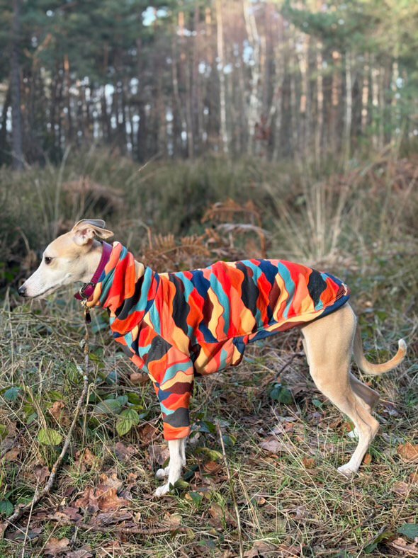 Sherpa Lined Fleece Puppy Jumper - Mountains