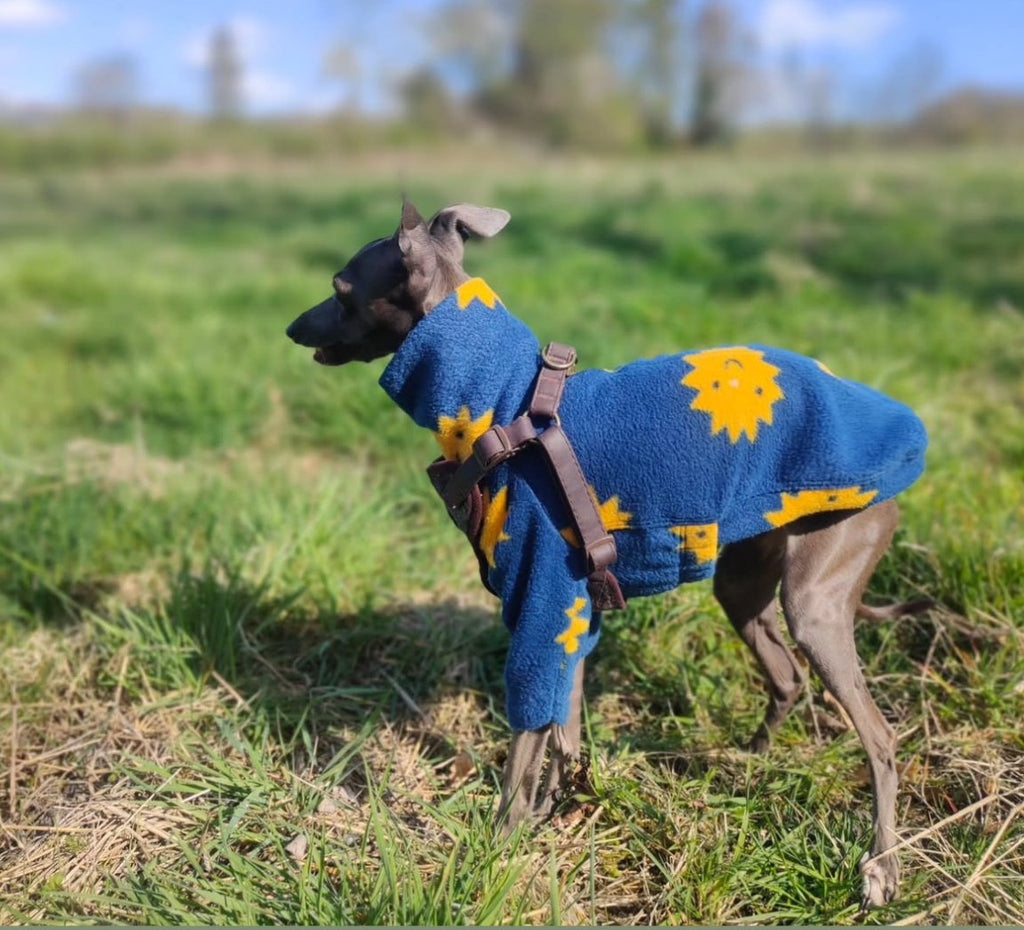 Fleece Jumper - Happy Suns