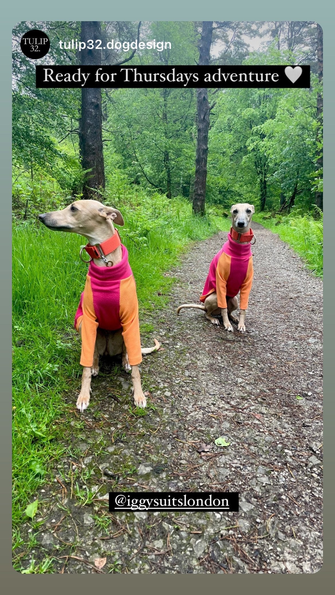 Ribbed Jersey T-Shirt - Fuchsia