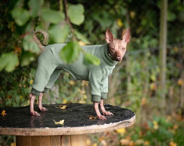 Fleece Lined Sweatshirt Suit - Stone