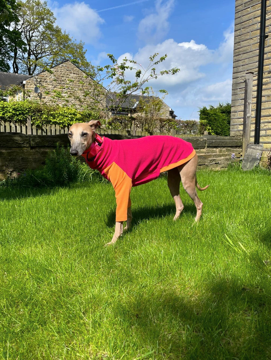 Ribbed Jersey T-Shirt - Fuchsia