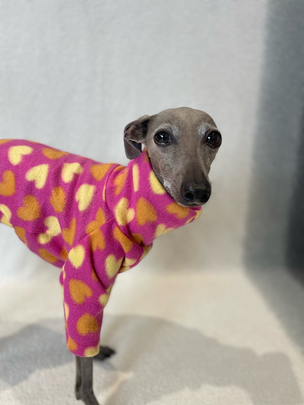 Fleece Jumper - Blue Morris