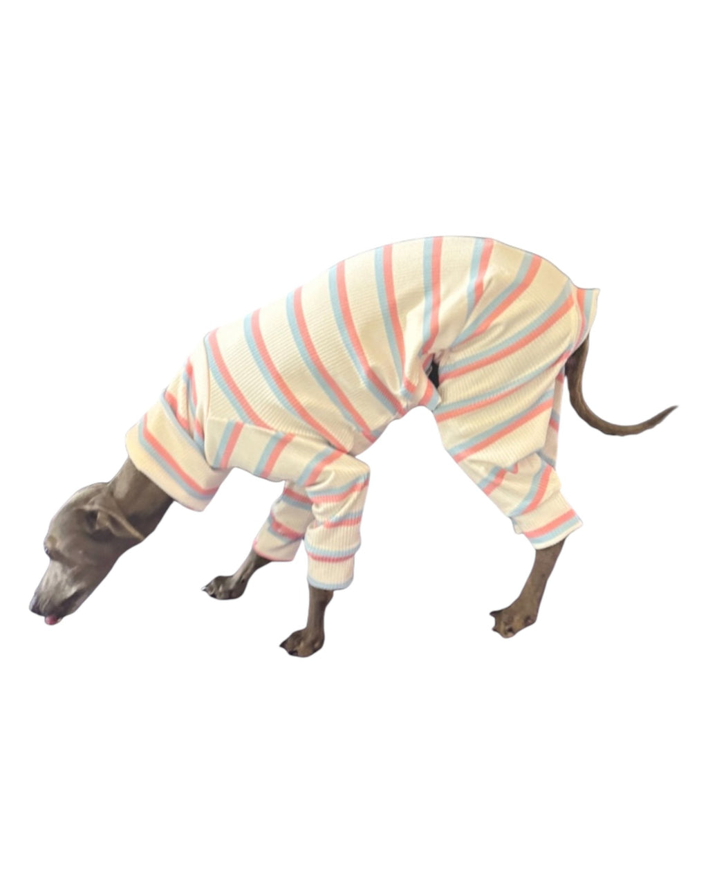 Ribbed Jersey Suit - Pink & Blue Stripe