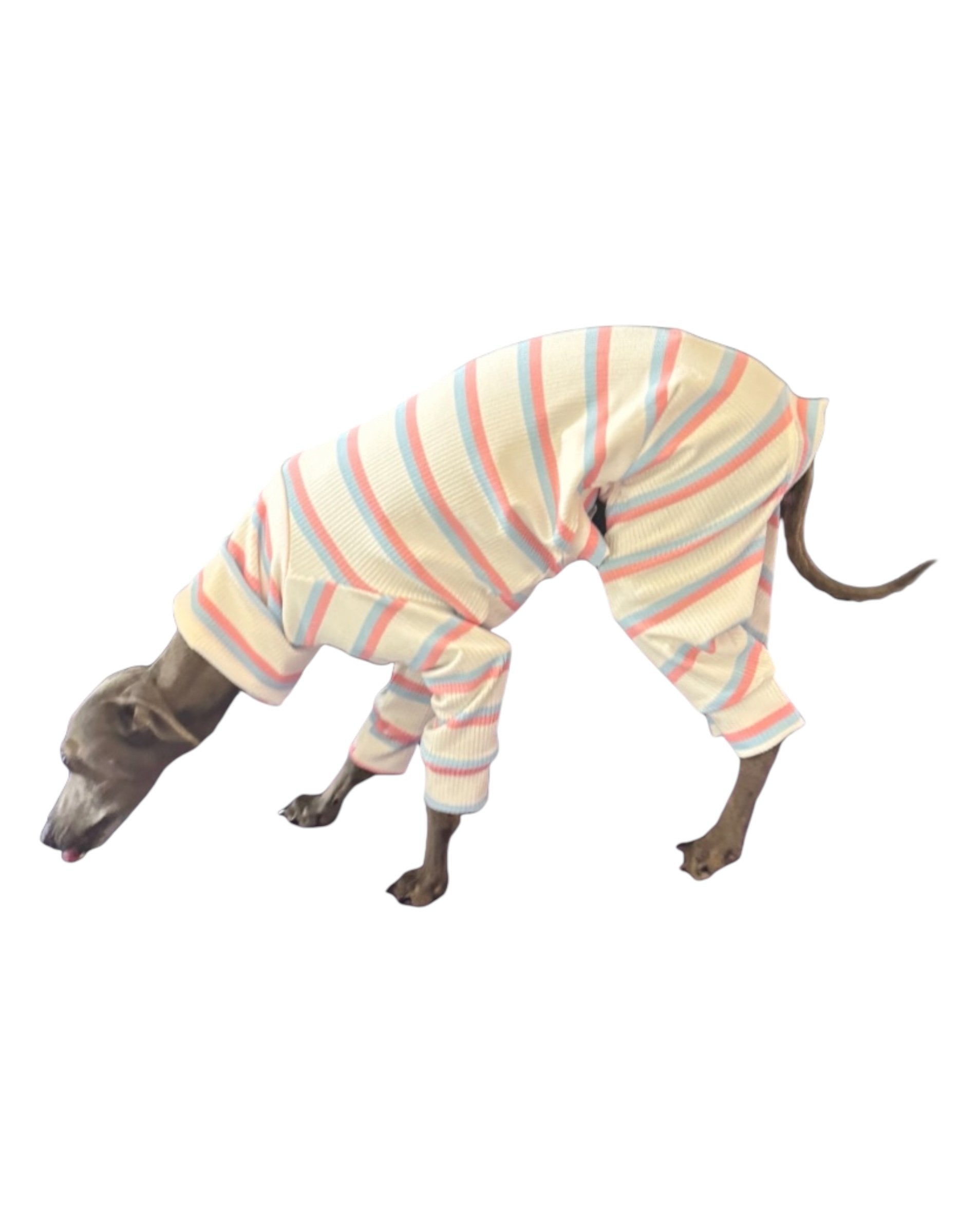 Ribbed Jersey Suit - Pink & Blue Stripe