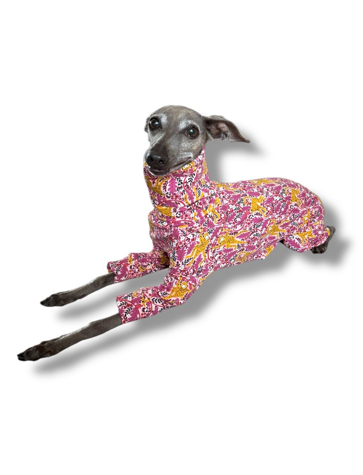 Jersey Suit - Cheeky Monkey