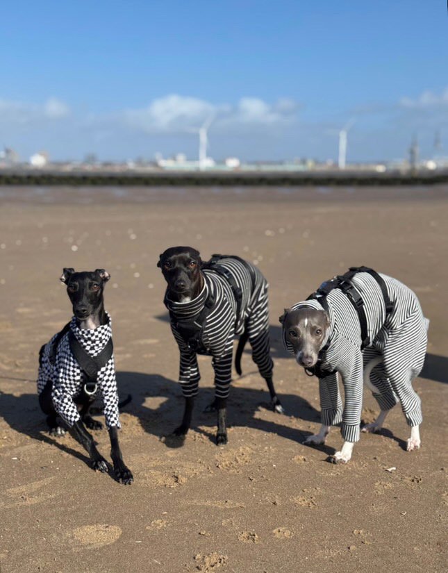 Jersey Suit - Go Bananas!