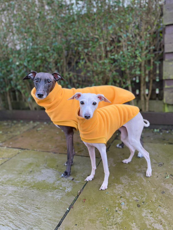 Open-Leg Fleece Vest - Coral