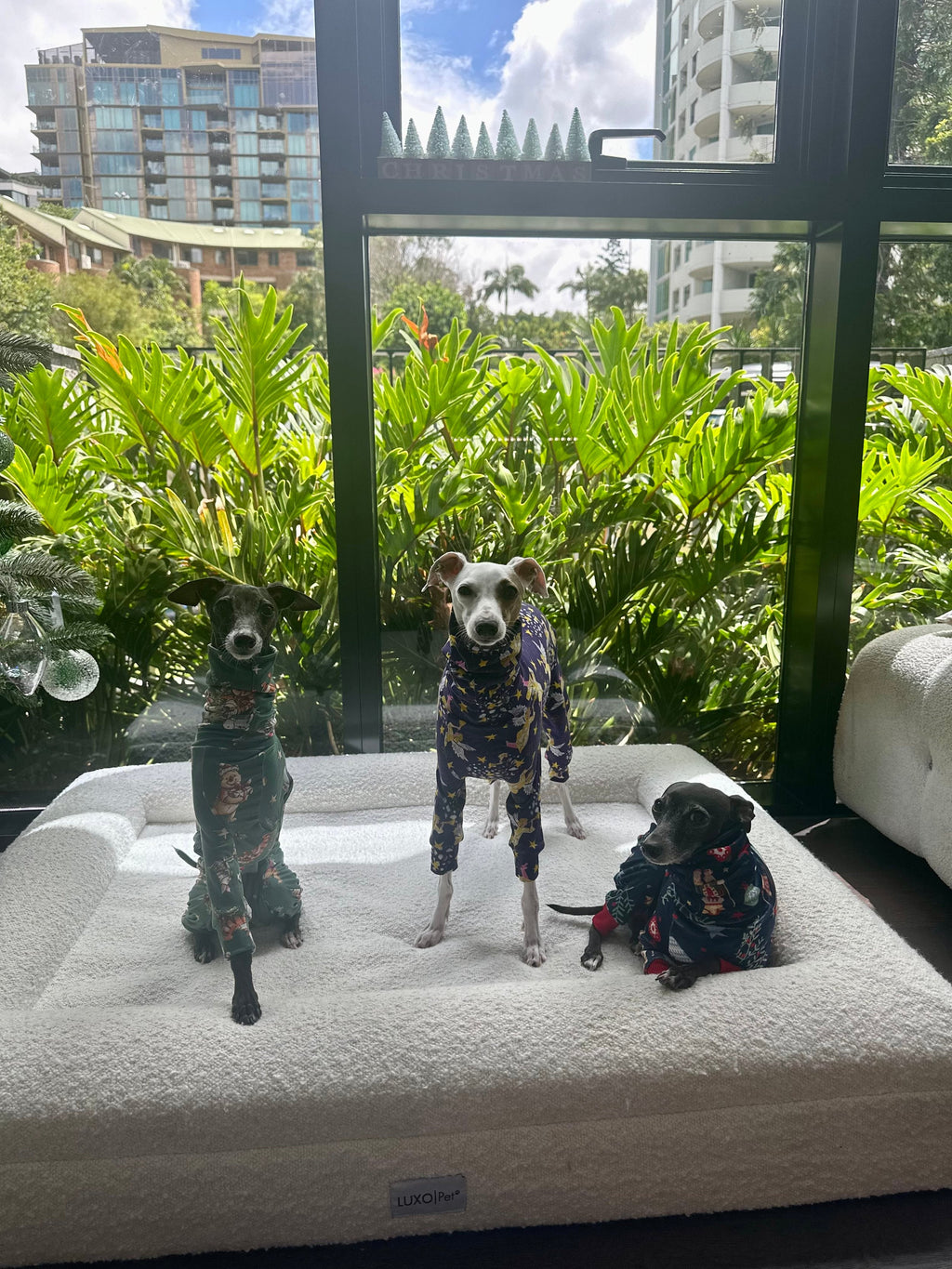 Christmas Jersey Suit - Divine Angels