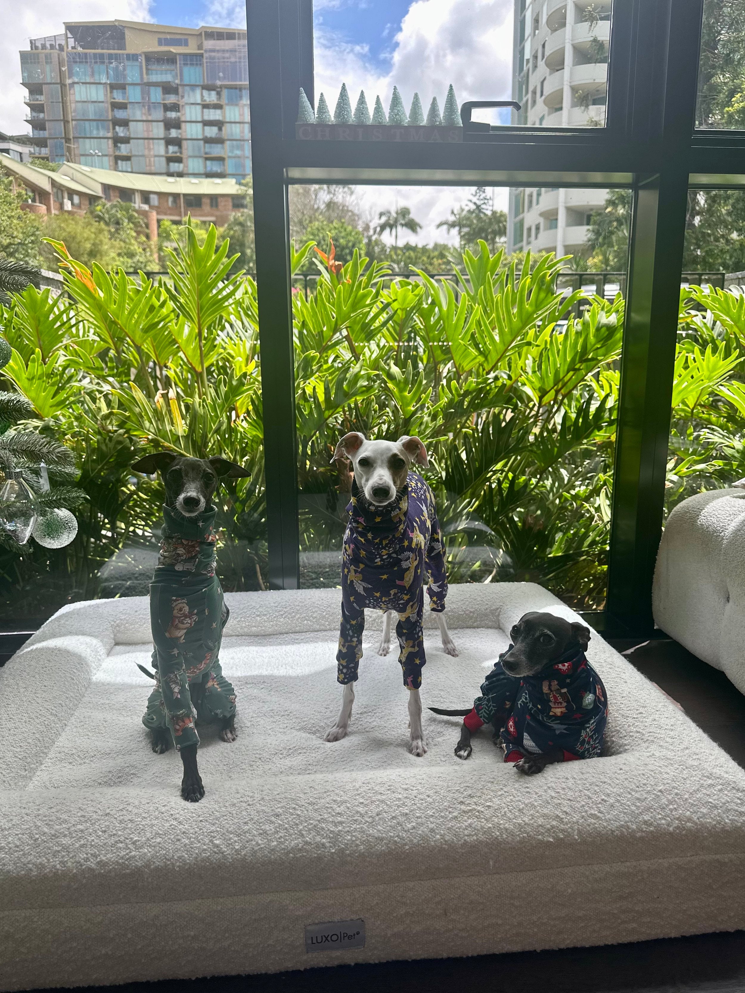 Christmas Jersey Suit - Divine Angels