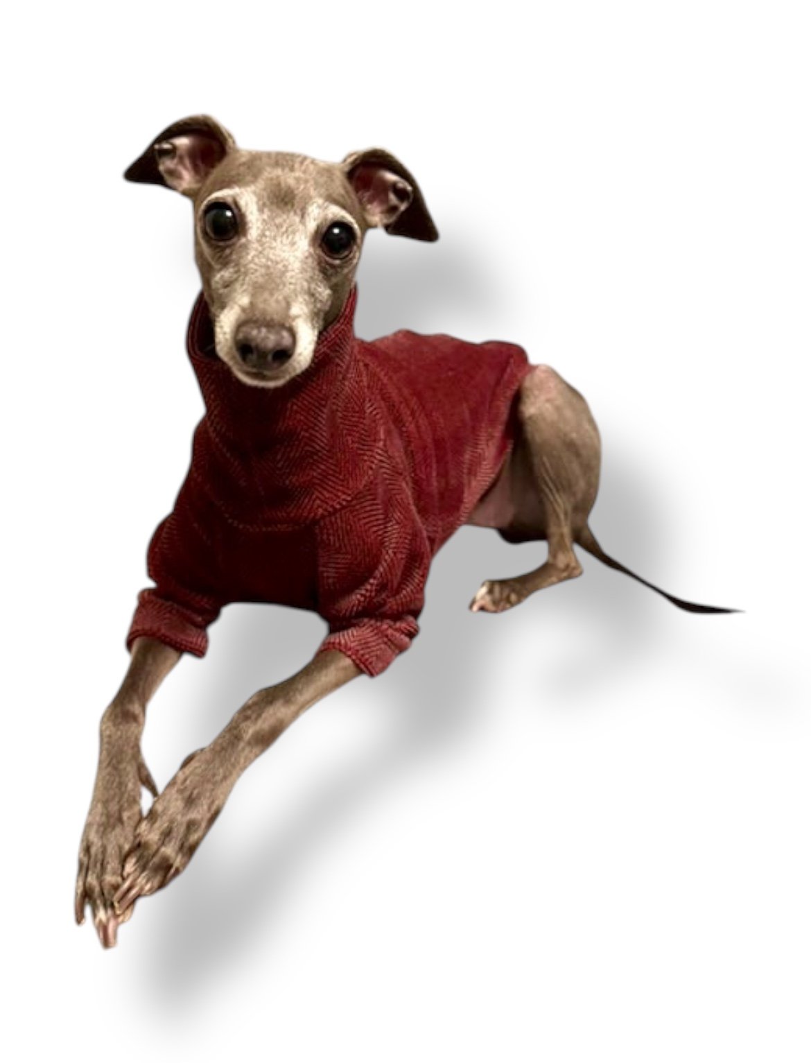 Jersey T-Shirt- Pink Herringbone Velvet