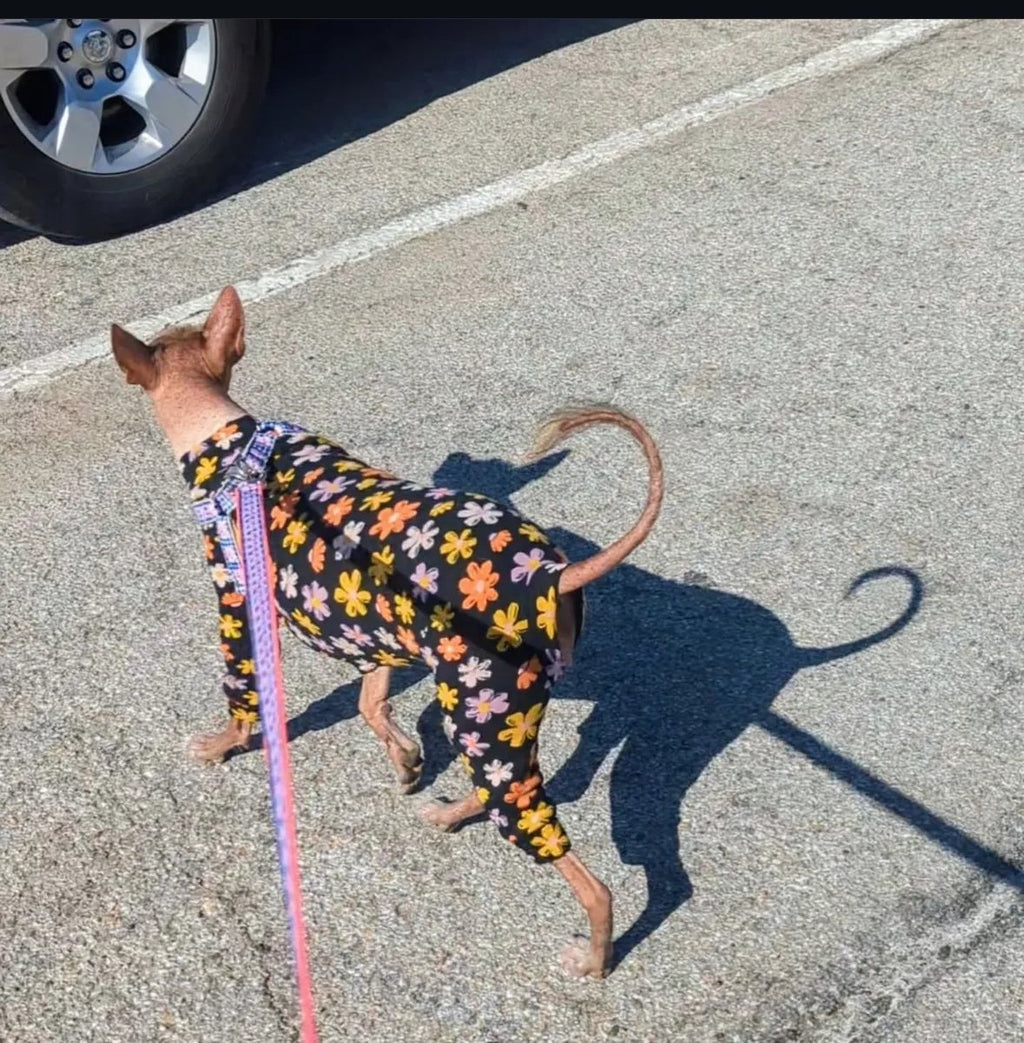 Fleece Lined Sweatshirt - Flower Power