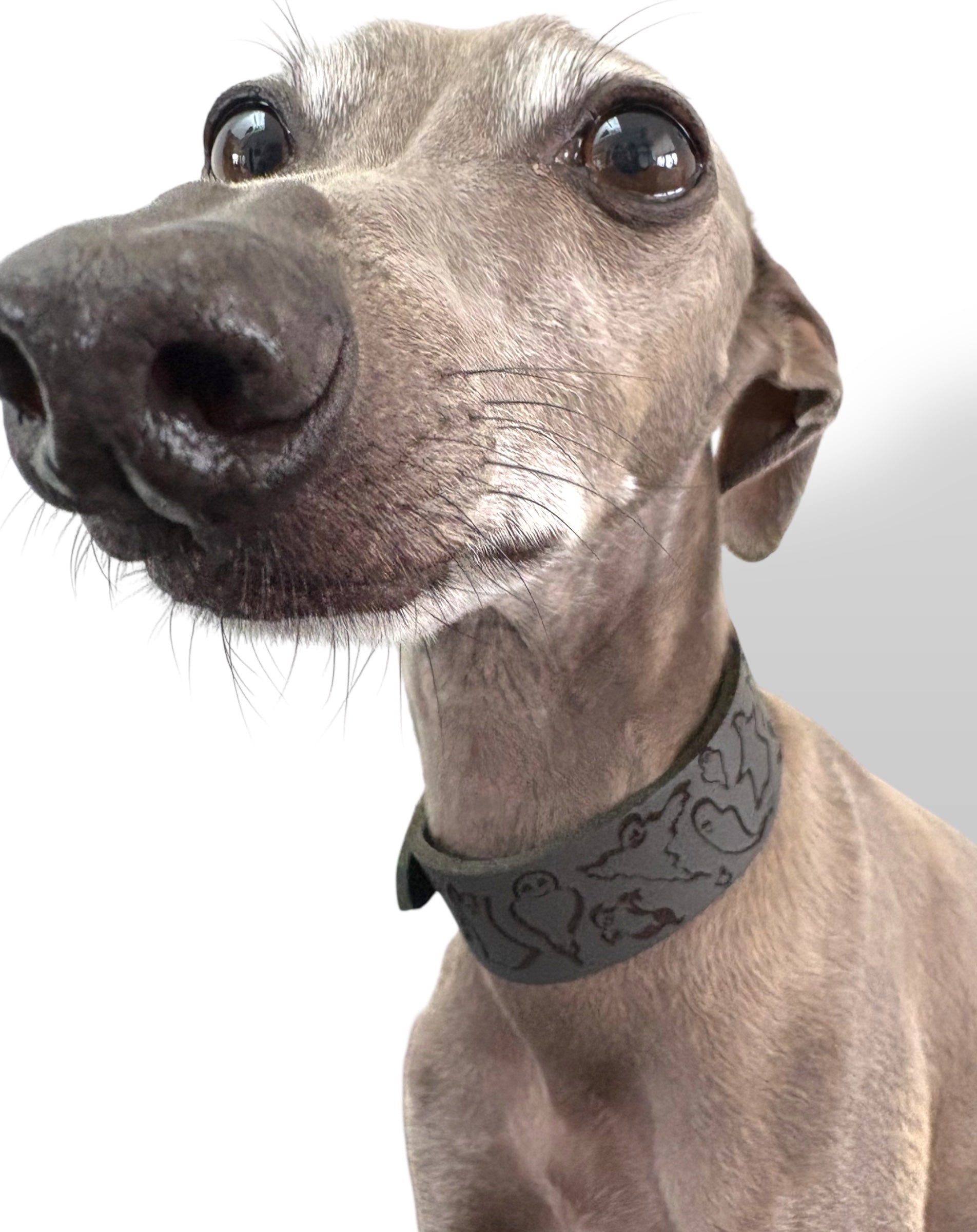 Leather Collar - HALLOWEEN - Ghosties