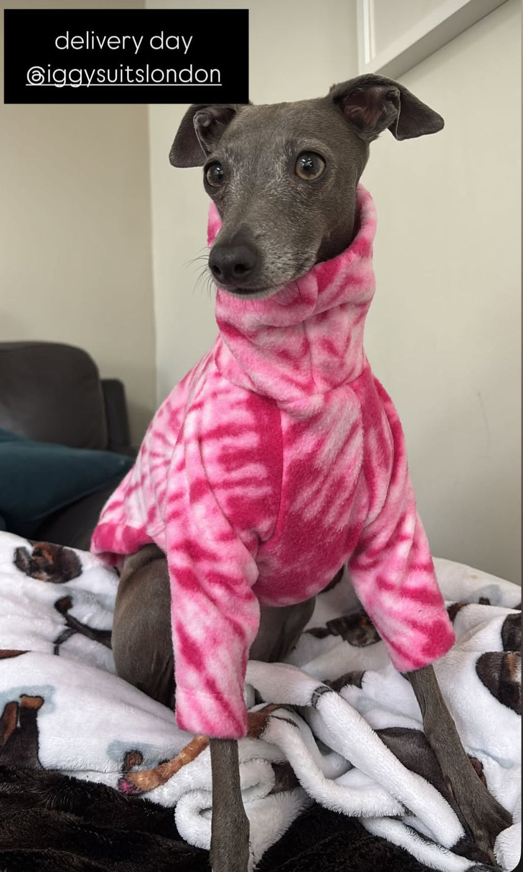 Fleece Jumper - Pink Tie Dye