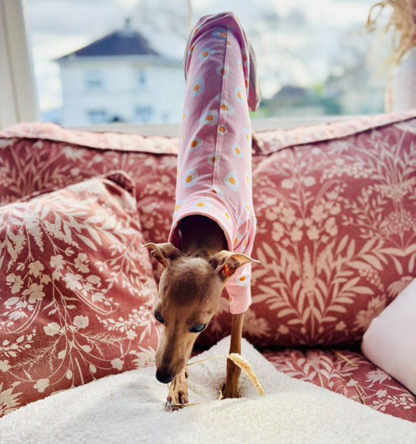 Jersey T-Shirt - Fried Eggs