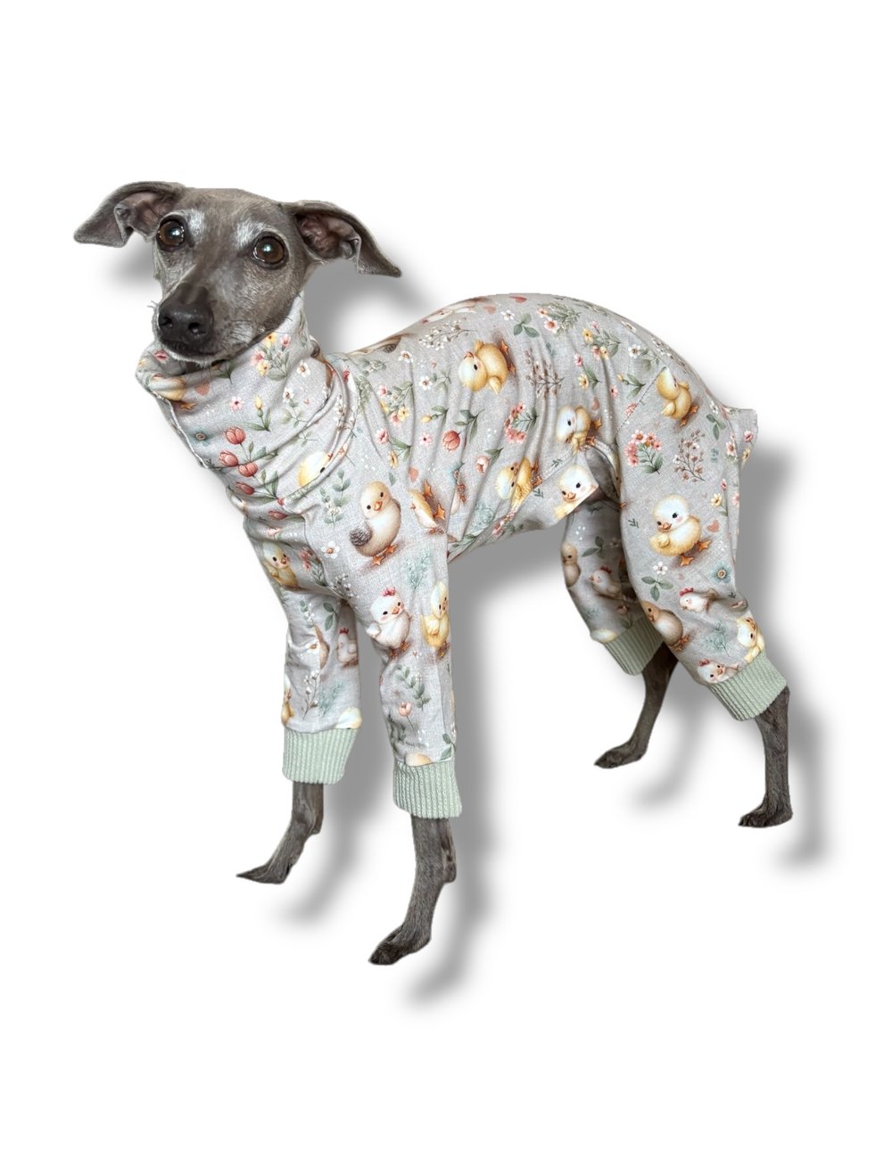 Dog wearing a patterned pajama set on a white background