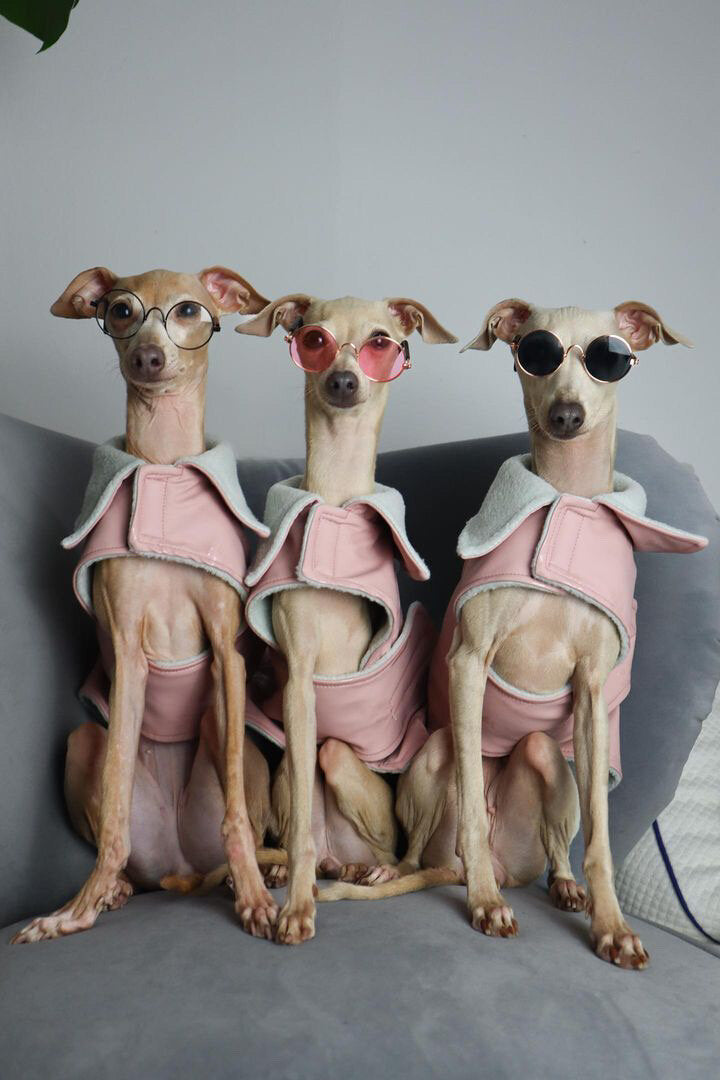 Rain Mac - Blush Pink Submarines