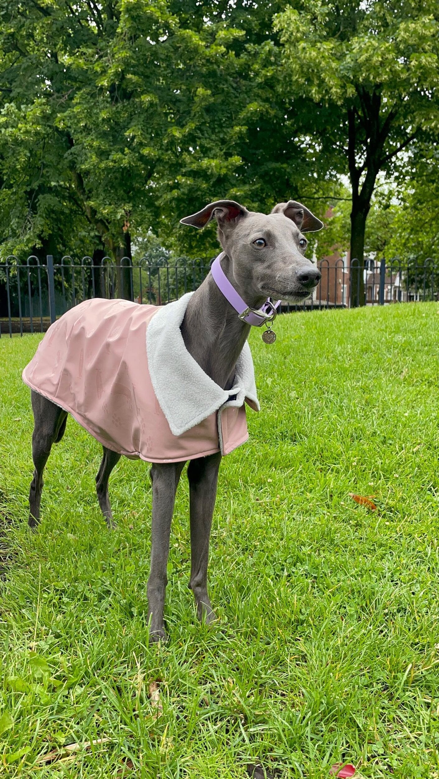 Rain Mac - Blush Pink Submarines