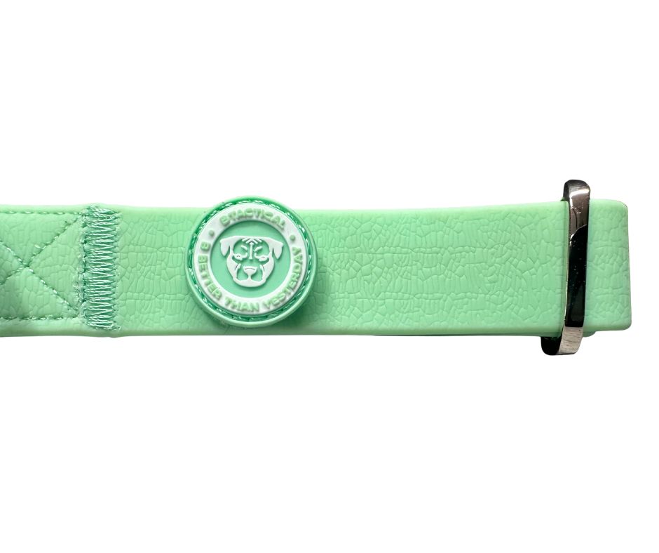 2.5cm PVC BTactical™ Collar | Pastel Green