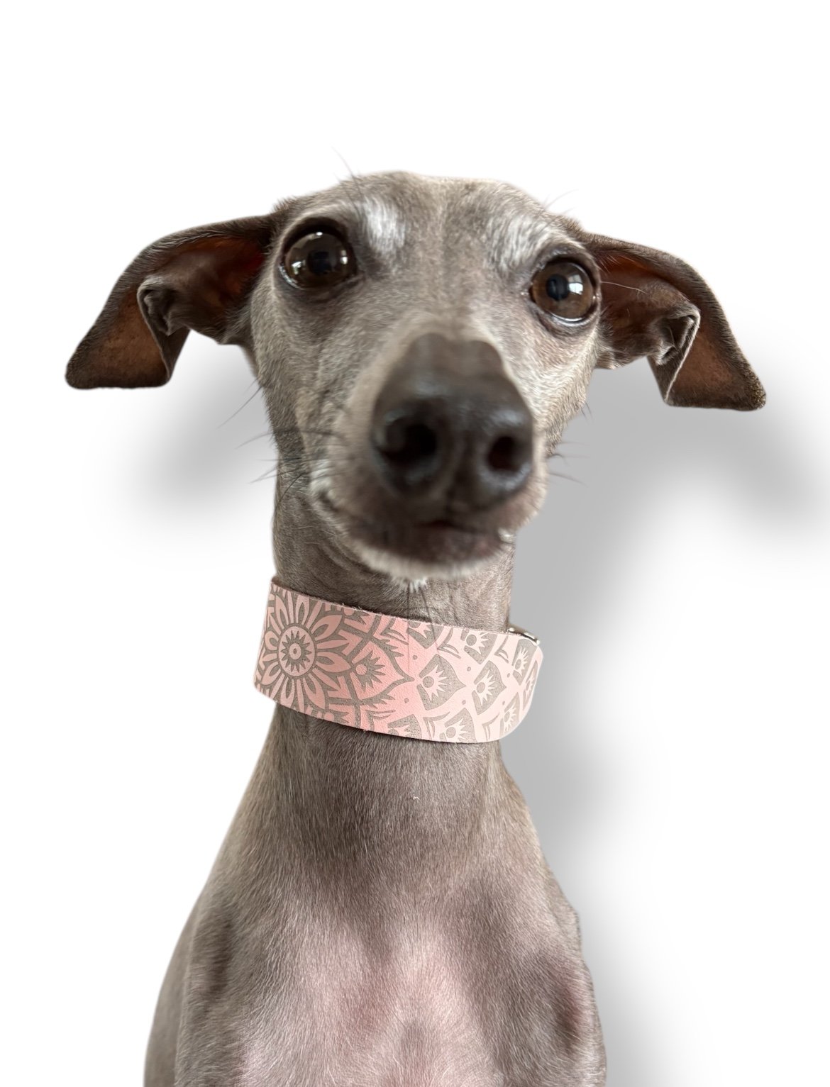 Leather Collar - Mandala