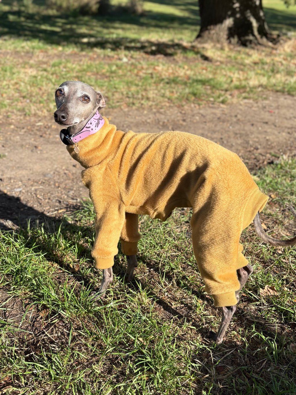 Dog wearing a yellow fleece coat standing on grass
