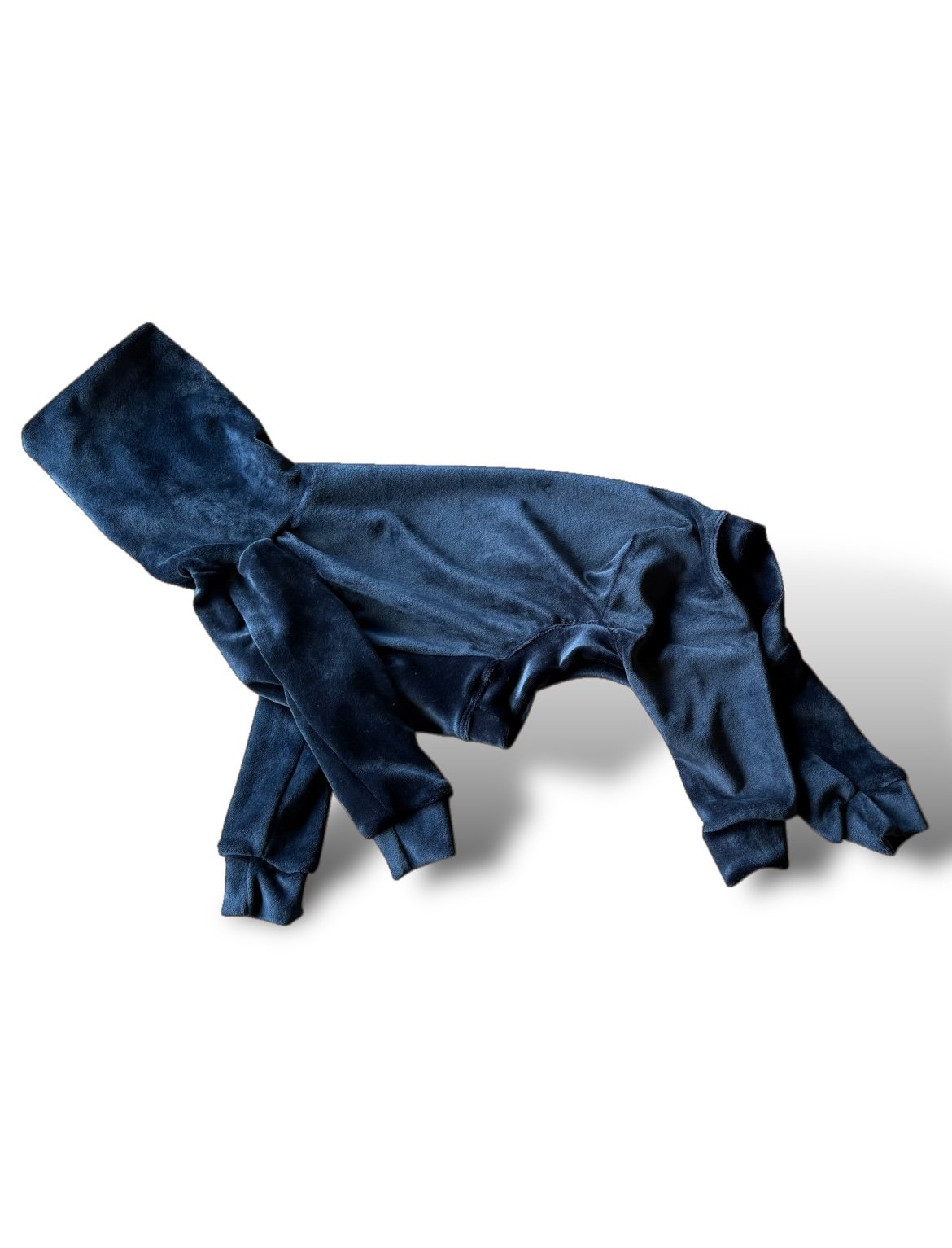 Blue velvet dog coat on a white background