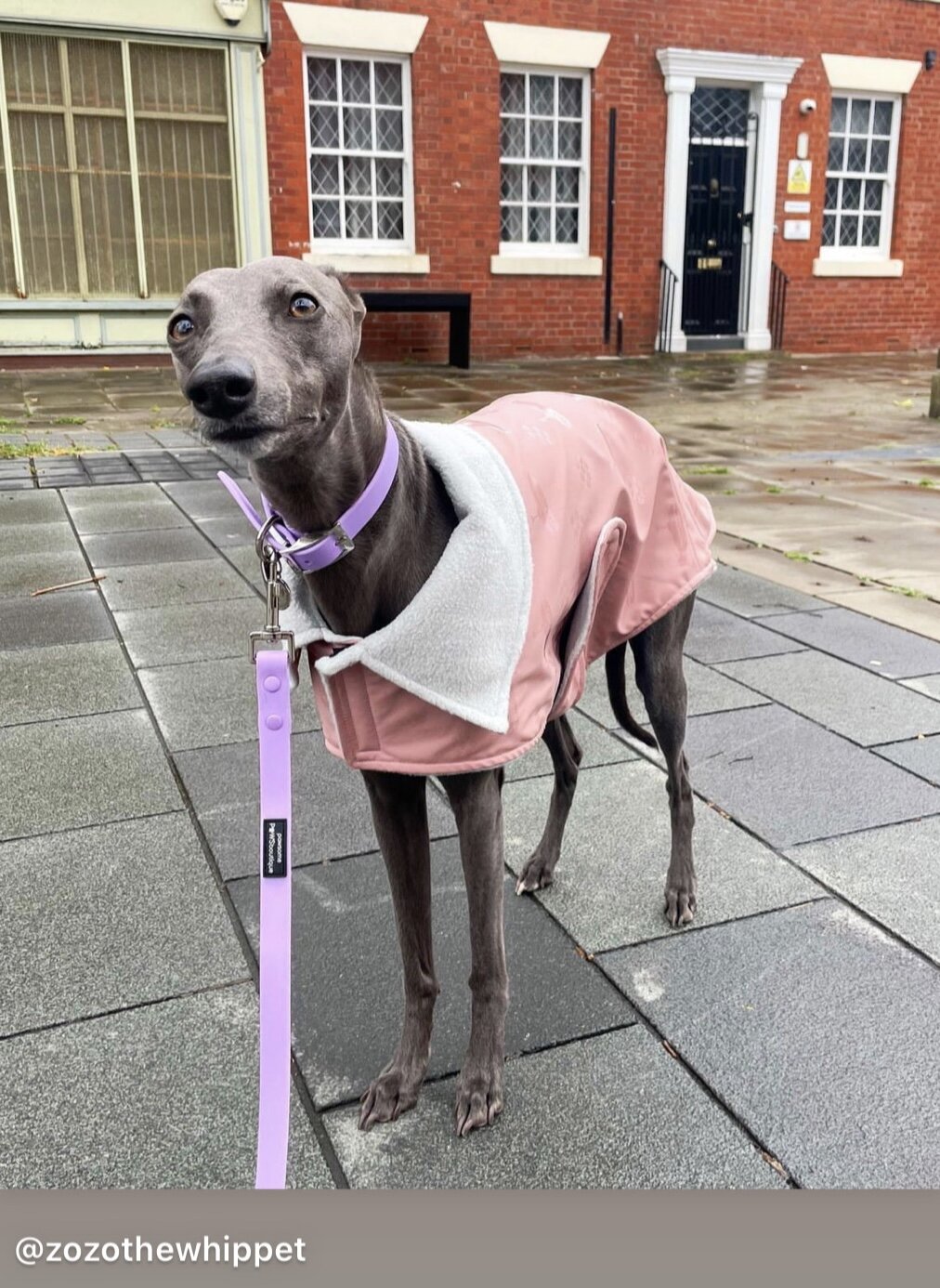 Rain Mac - Blush Pink Submarines