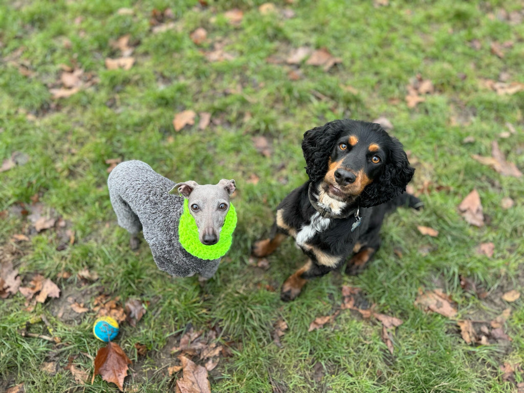 Chunky Knitted Snood - Hi-Vis Yellow