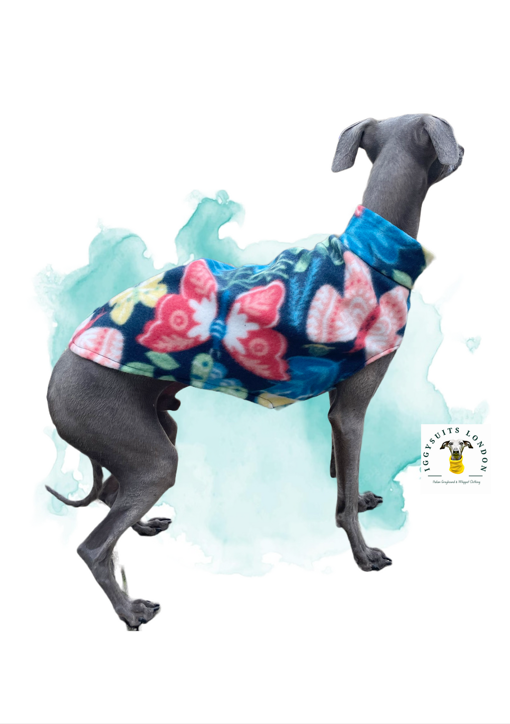 Dog wearing a colorful floral sweater on a white background