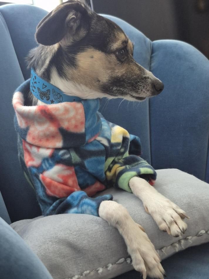 Fleece Jumper - Butterflys