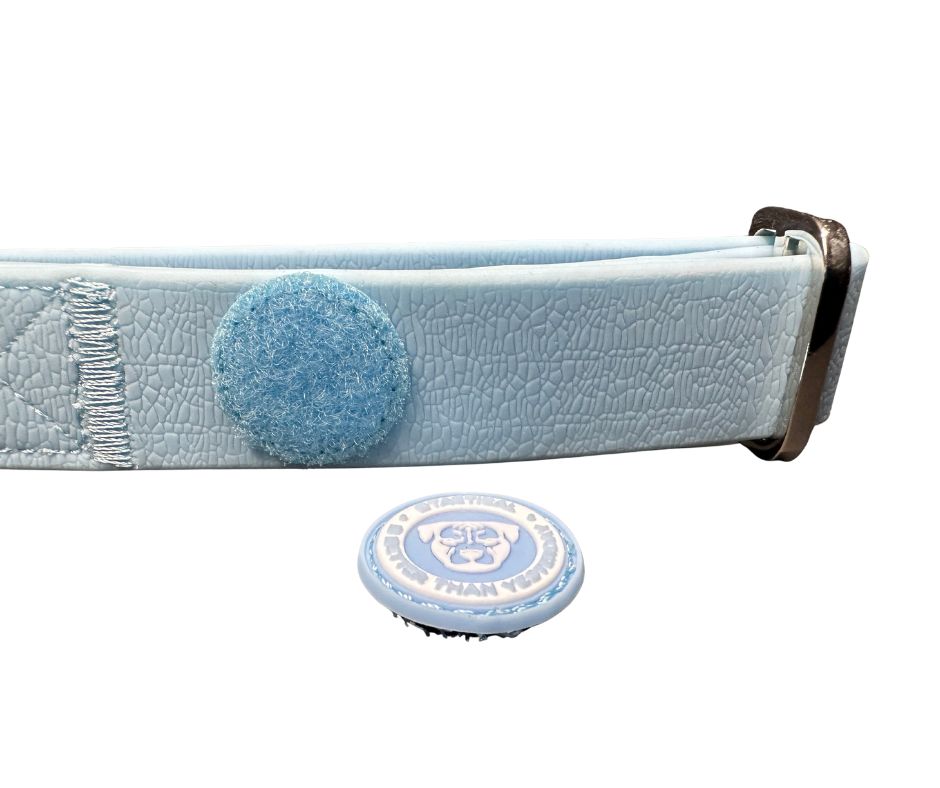 2.5cm PVC BTactical™ Collar | Pastel Blue