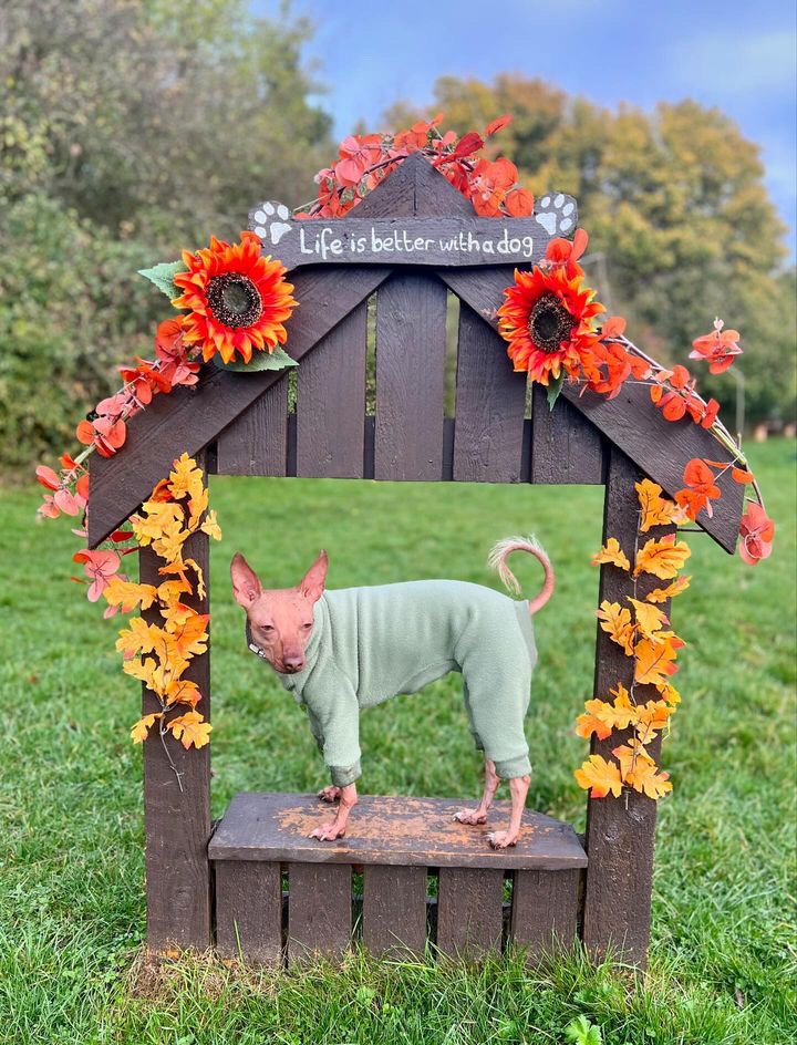 Fleece Lined Sweatshirt - Charcoal Grey