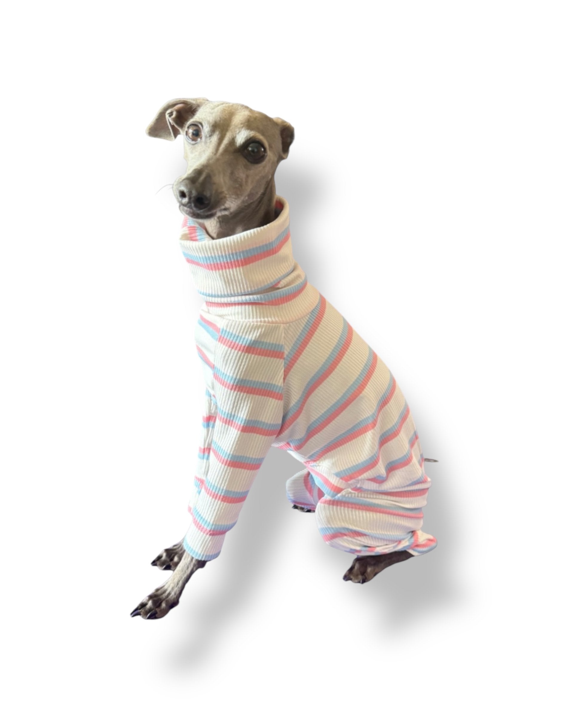 Ribbed Jersey Suit - Pink & Blue Stripe