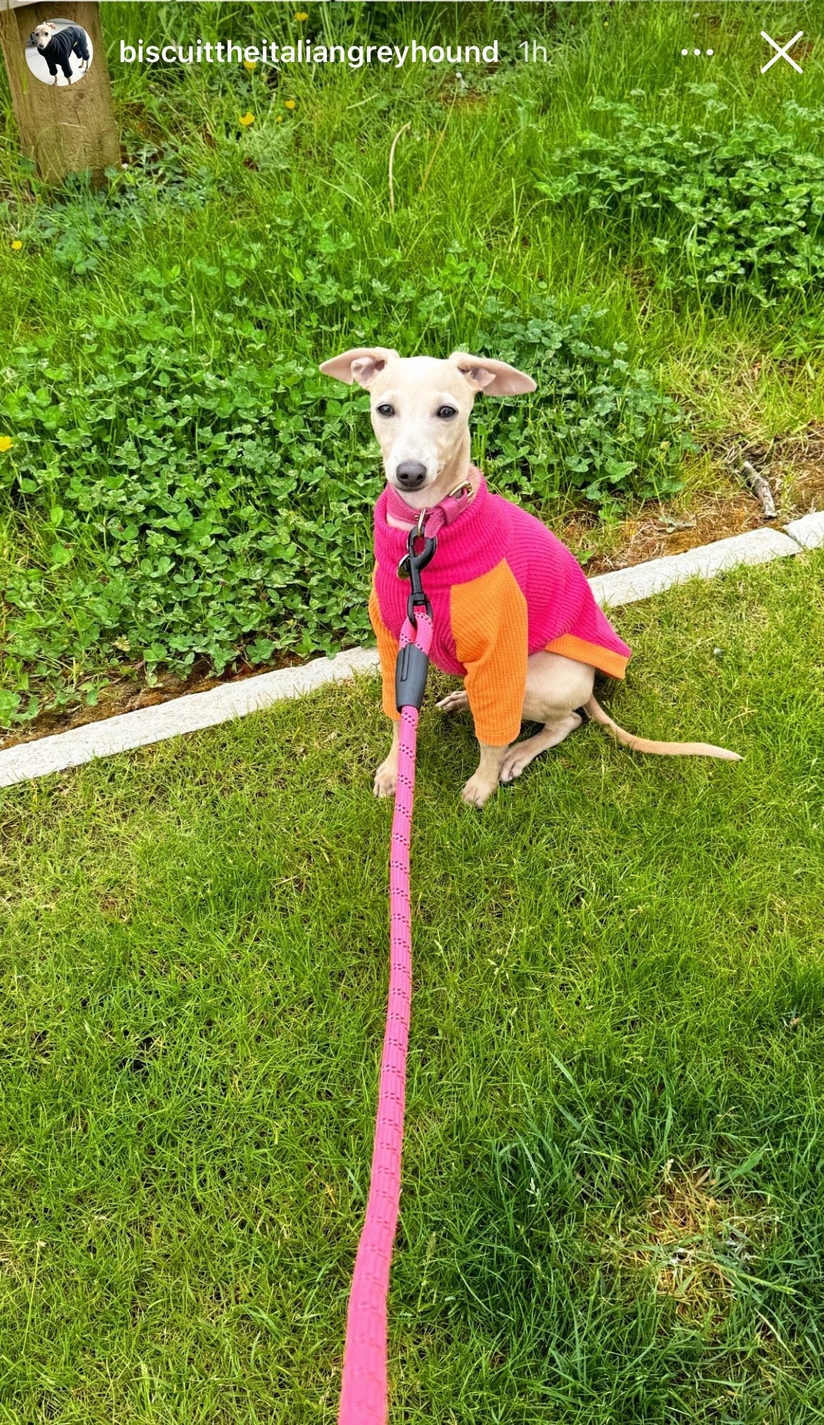 Ribbed Jersey T-Shirt - Fuchsia