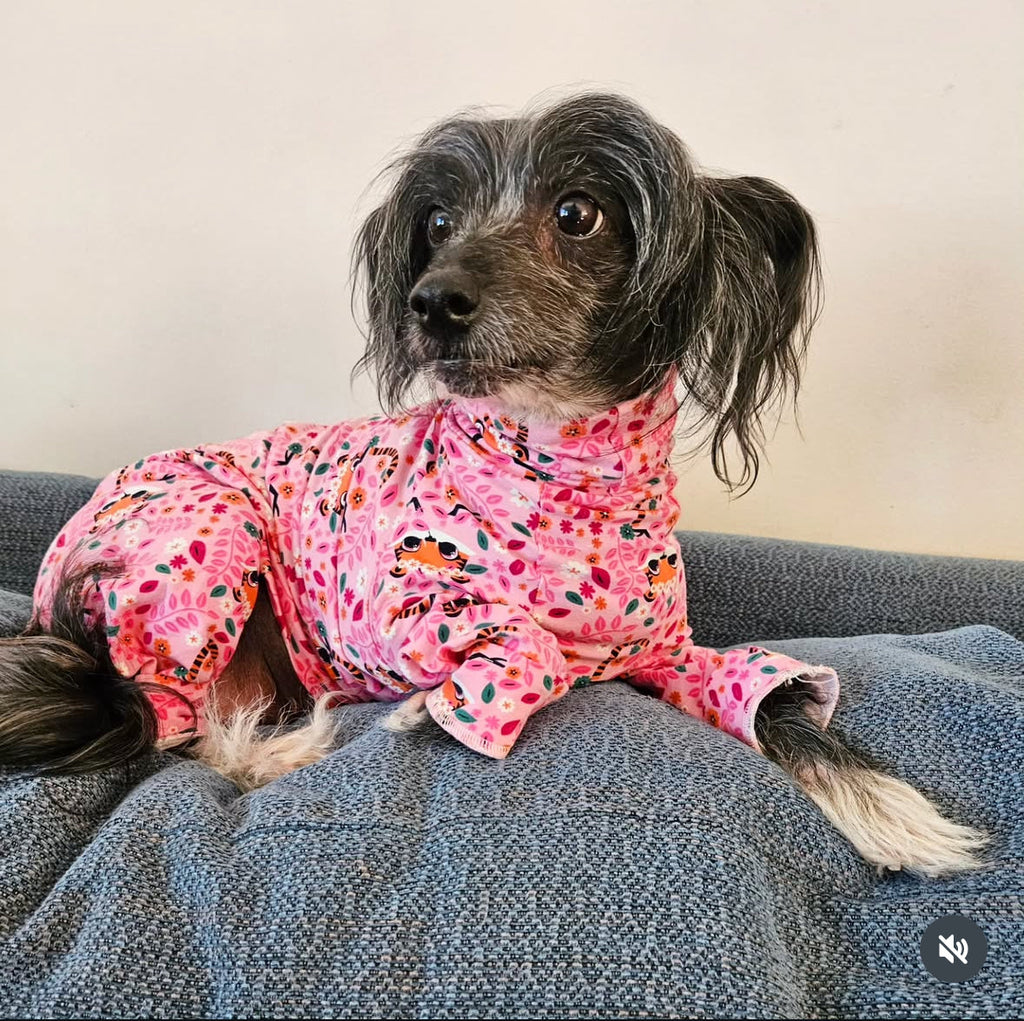 Jersey Suit - Pink Tigers