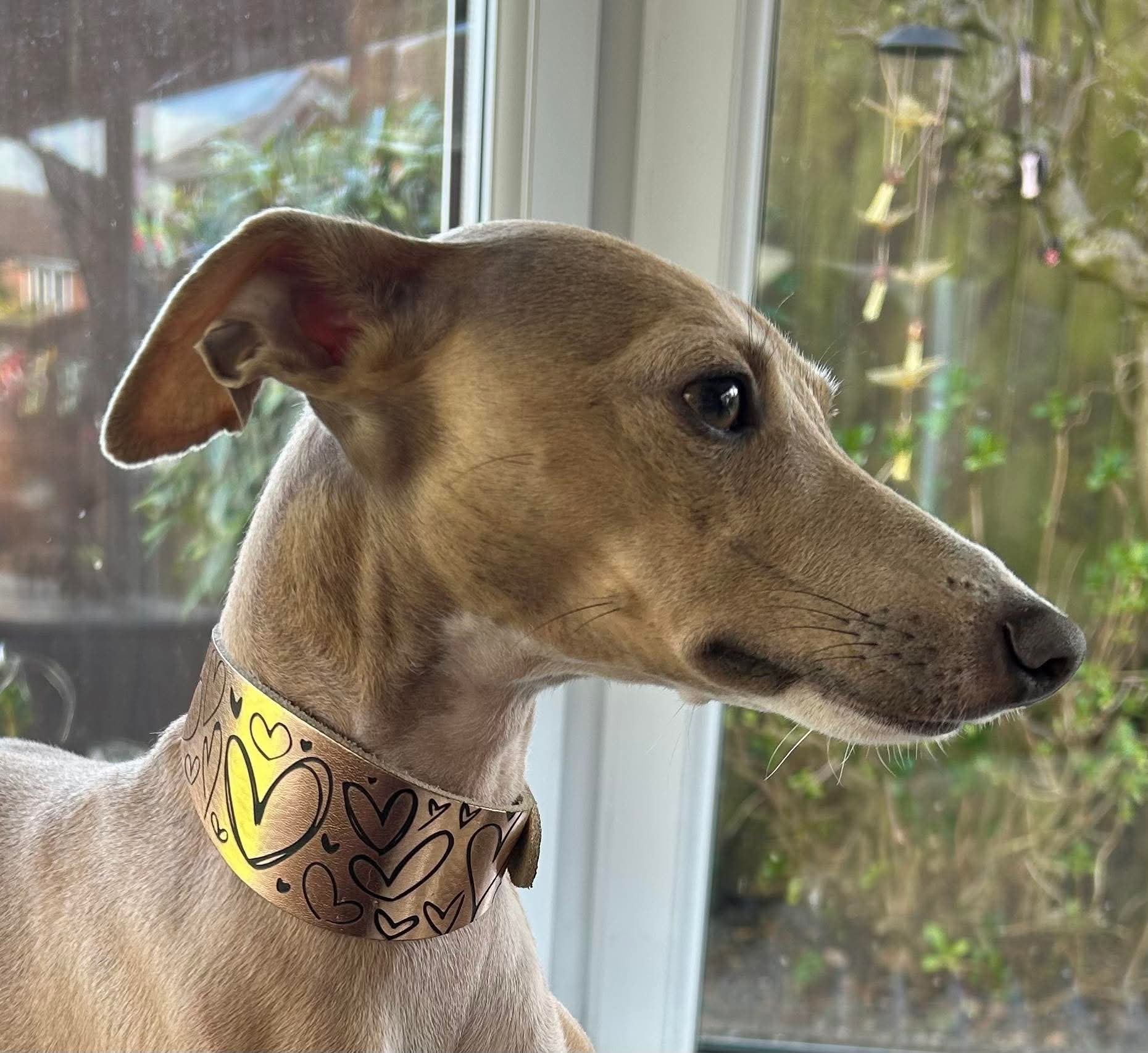 Leather Collar - Hearts