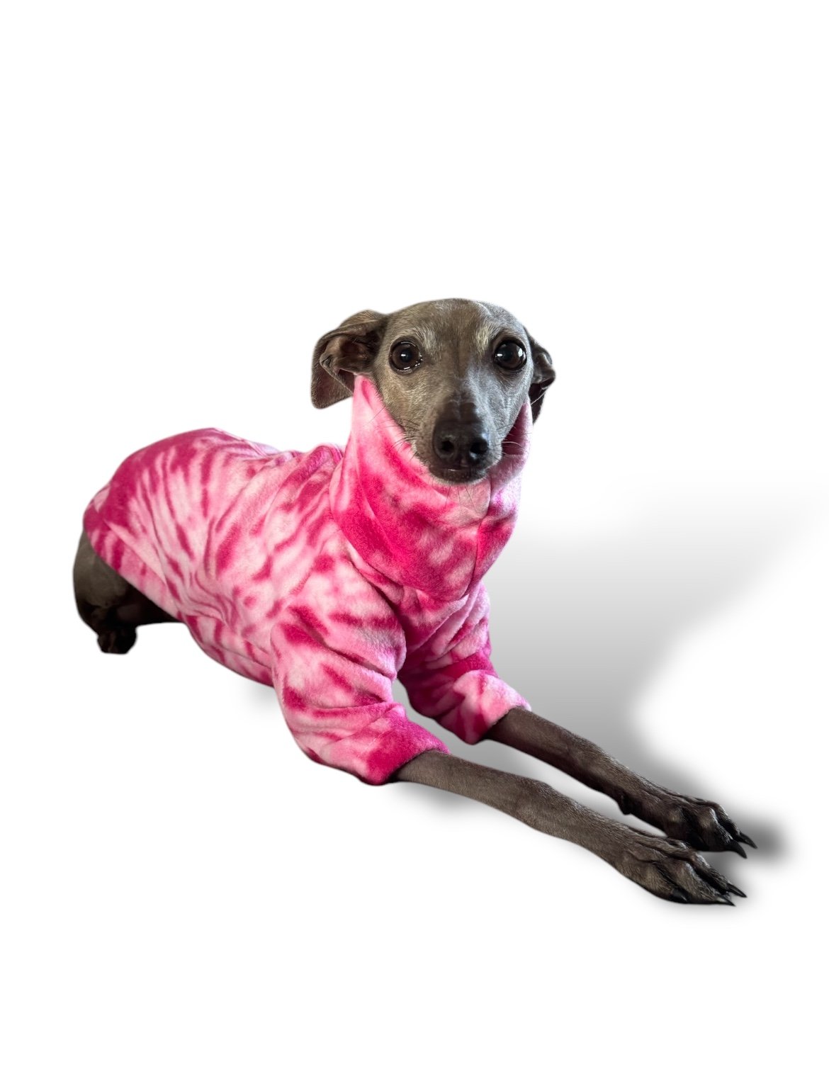 Dog wearing a pink tie-dye shirt on a white background