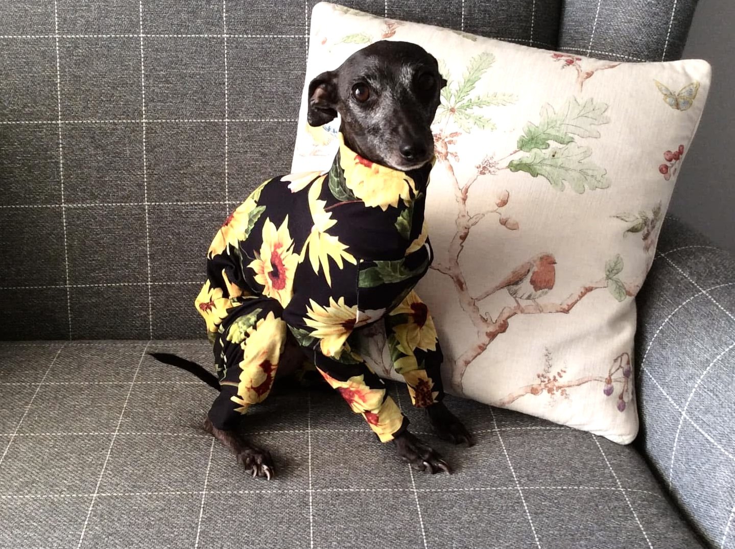 Jersey Suit - Sunflowers