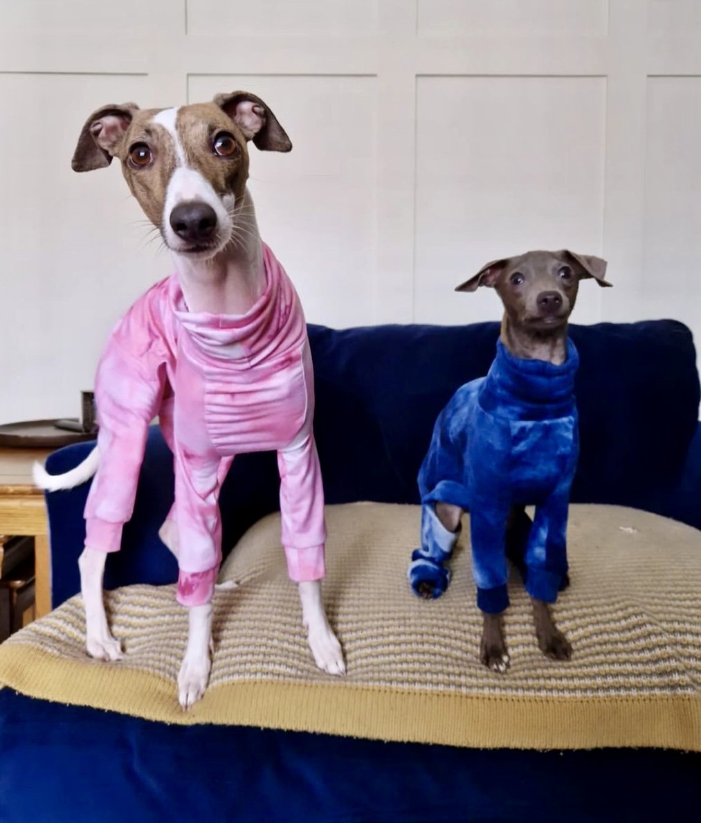 Blue Tie Dye Woolly Jersey