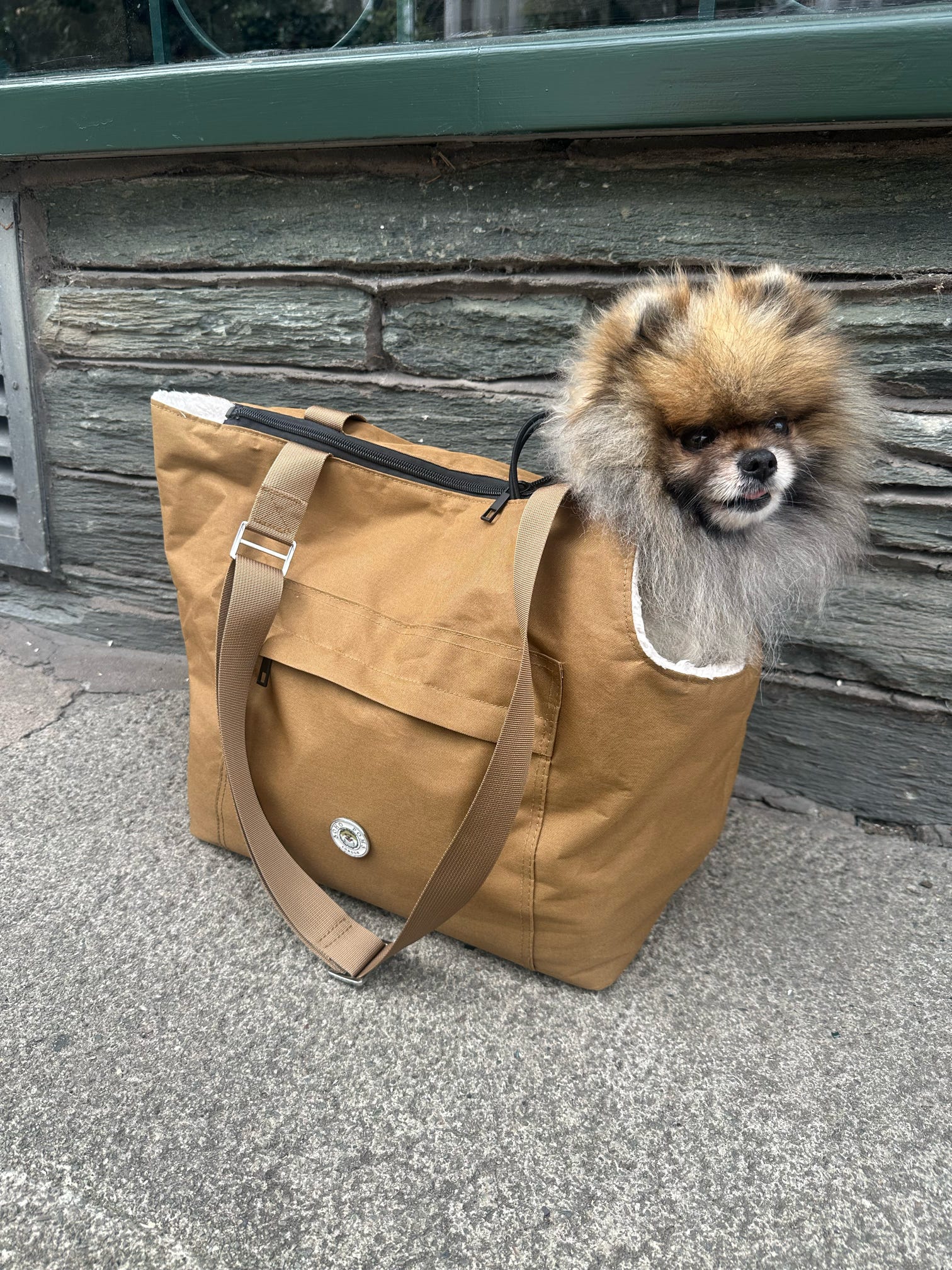 Soho Poms Light Brown & Cream Rainy Bear Pet Carrier - Ideal for Dogs & Cats