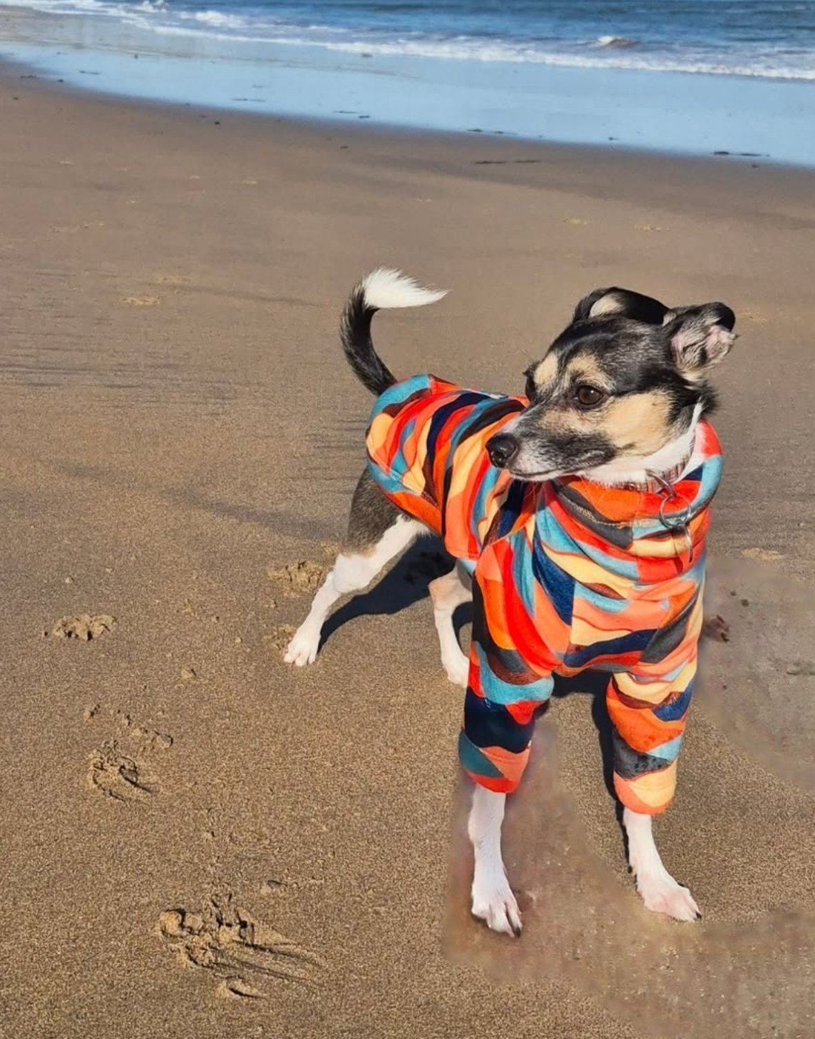 Sherpa Lined Fleece Puppy Jumper - Mountains