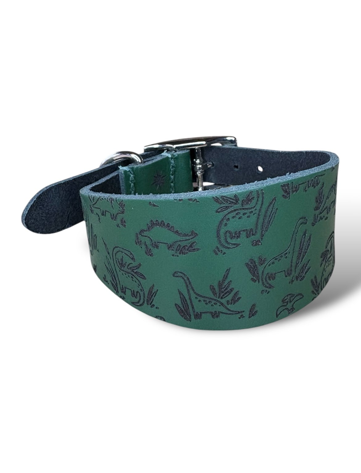 Green dog collar with dinosaur pattern on a white background