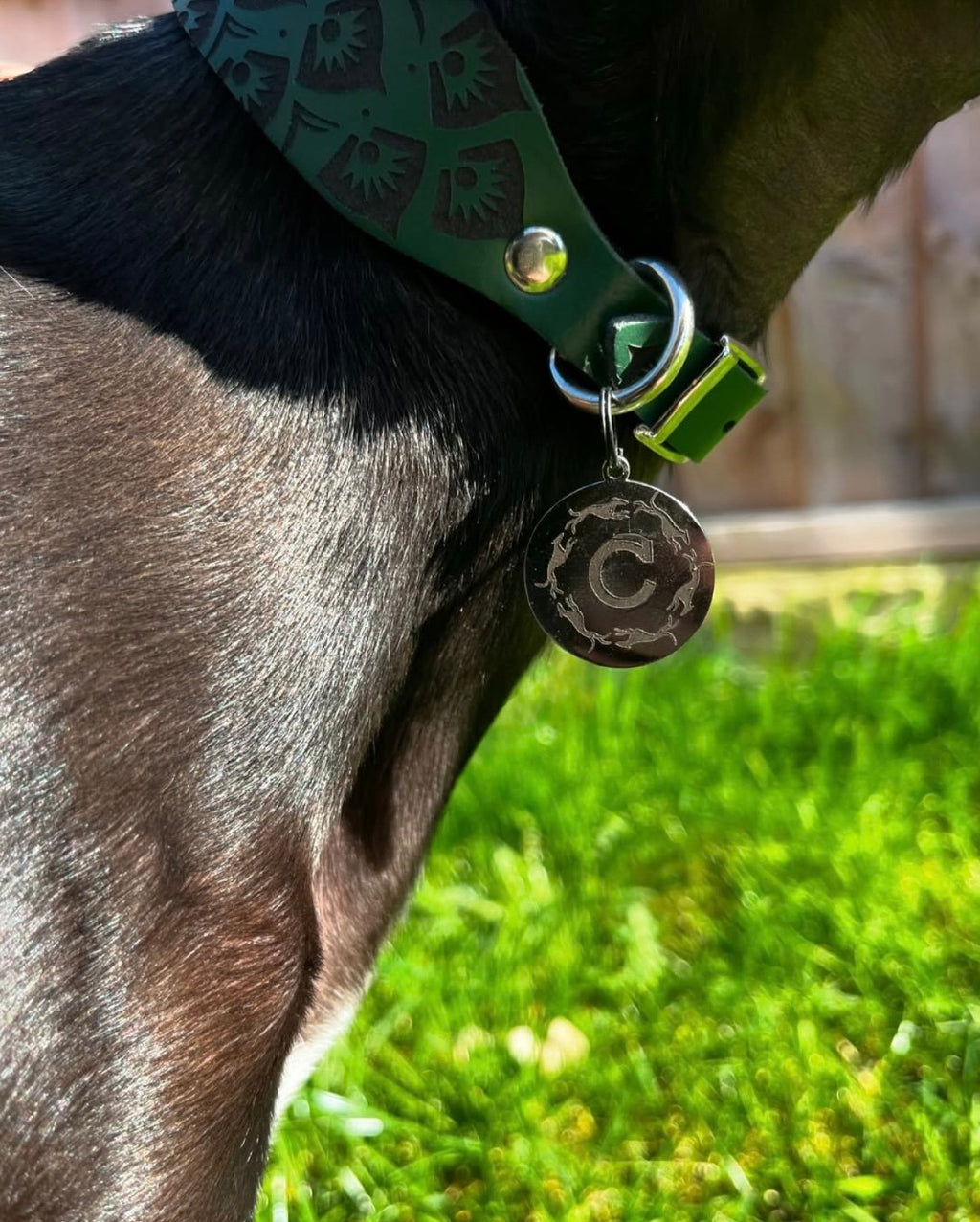 Leather Collar - Mandala