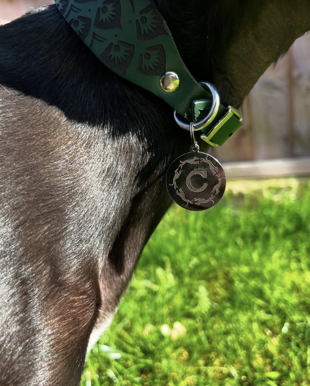 Leather Collar - Mandala
