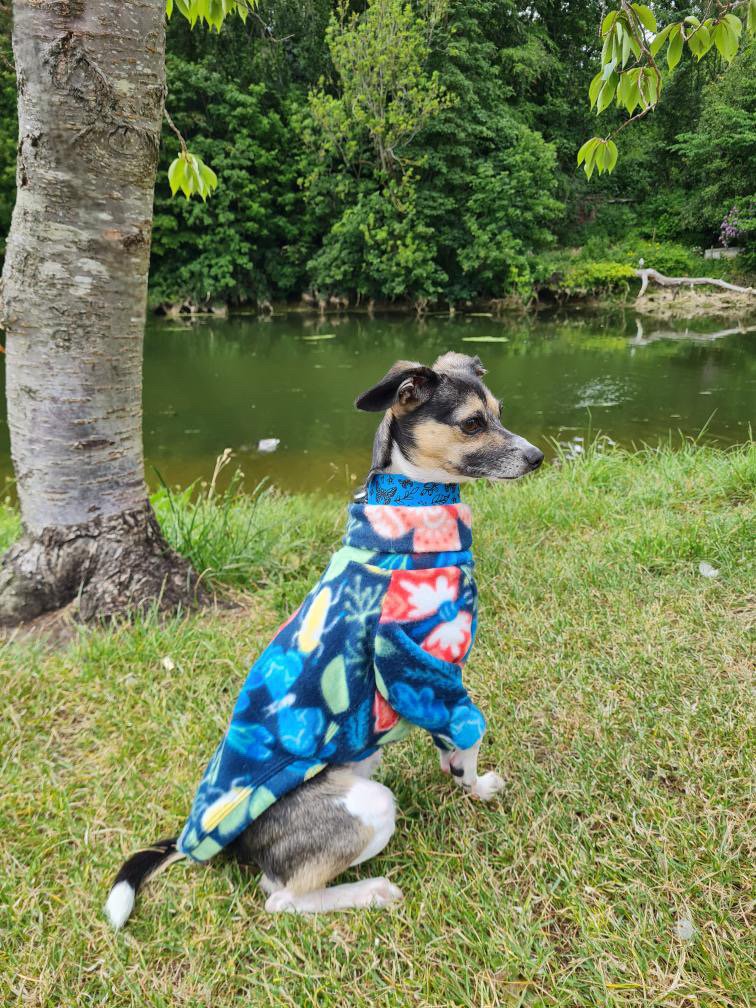 Fleece Jumper - Butterflys