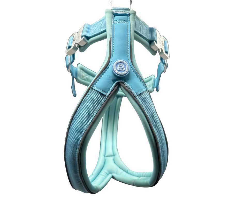 The 2.5cm BTactical™ Slip on Harness | Pastel Blue