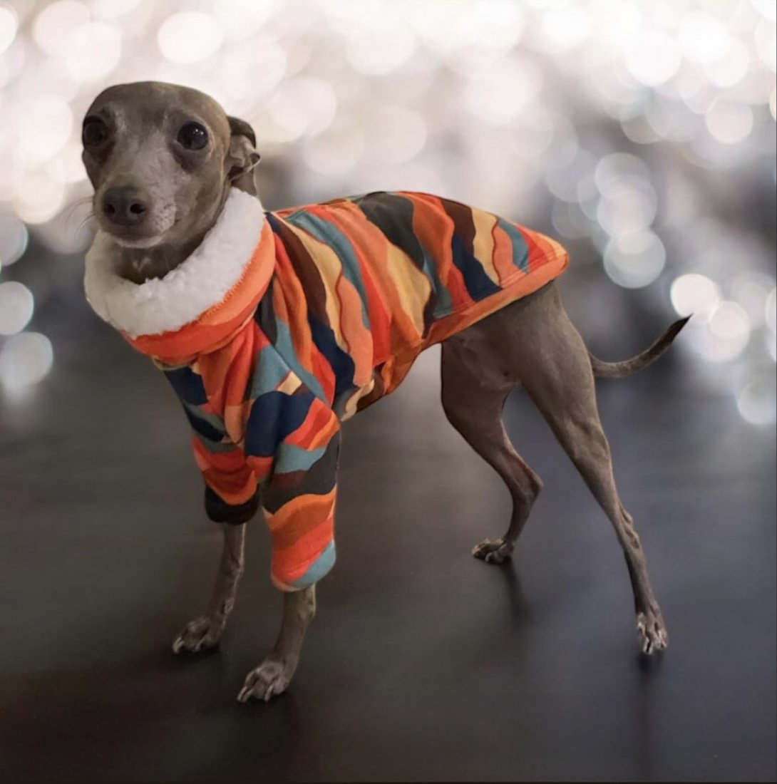 Sherpa Lined Fleece Puppy Jumper - Mountains