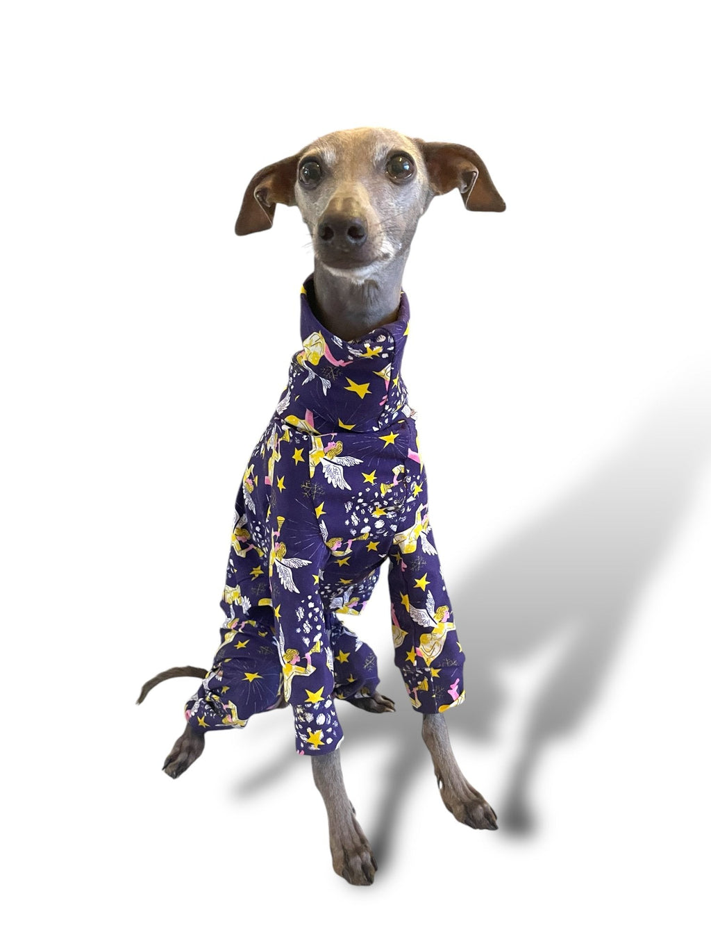 Dog wearing a purple floral pajama set on a white background